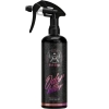 RR CUSTOMS BAD BOYS ODOR KILLER 500ml usuwa nieprzyjemne zapachy